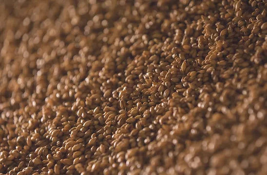 Dark Toasted Sesame Oil