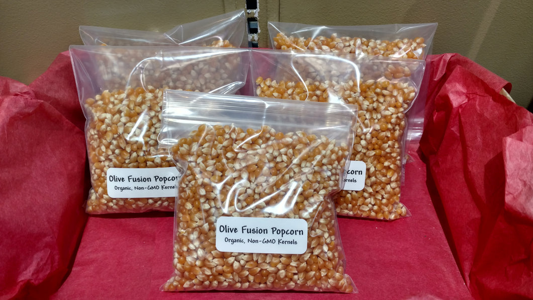 Bag' O Popcorn